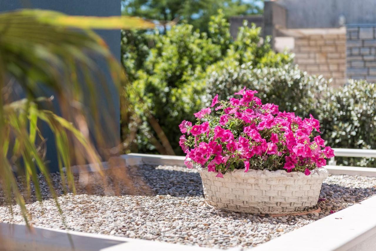 Pool Terrace Sea View Sarkic Διαμέρισμα Novalja Εξωτερικό φωτογραφία